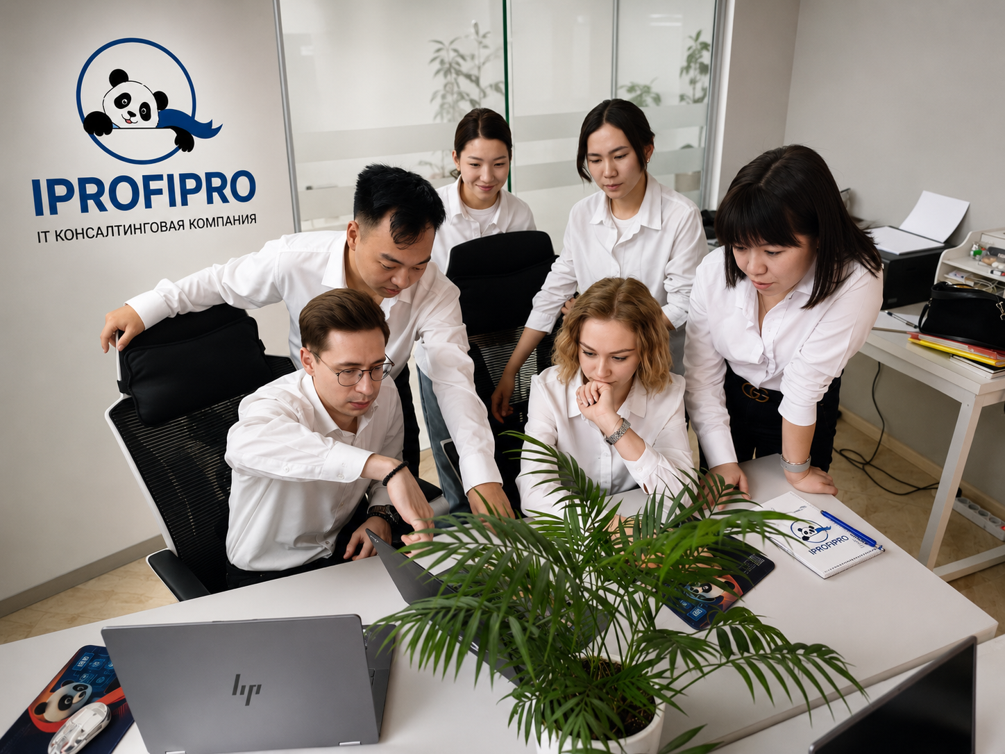 IPROFI.PRO team