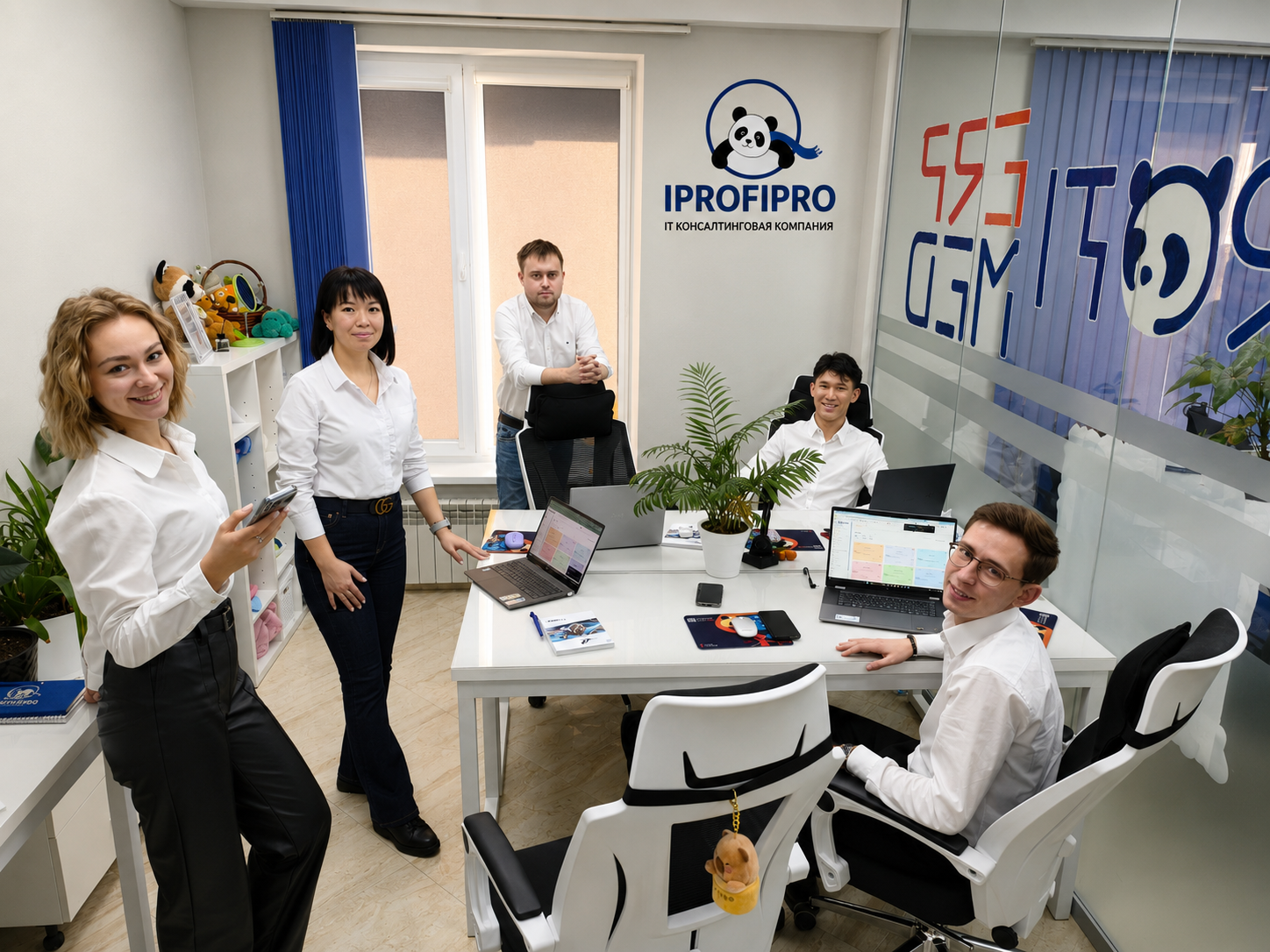 IPROFI.PRO team